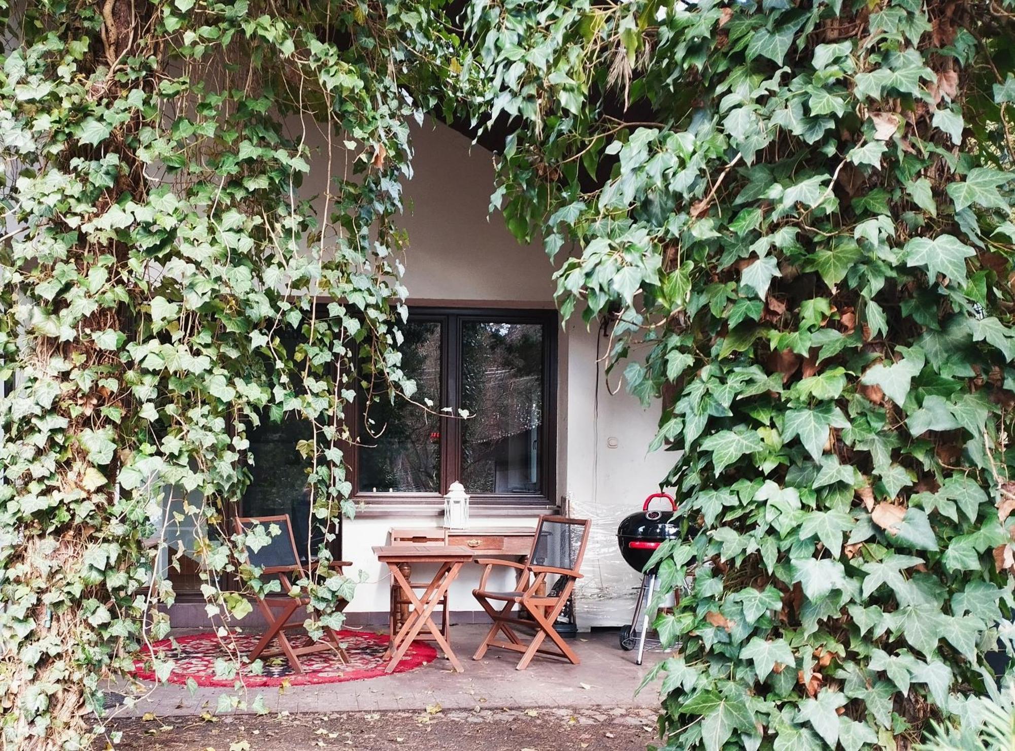 Nest 4 Rest Hotel Konstancin-Jeziorna Ngoại thất bức ảnh